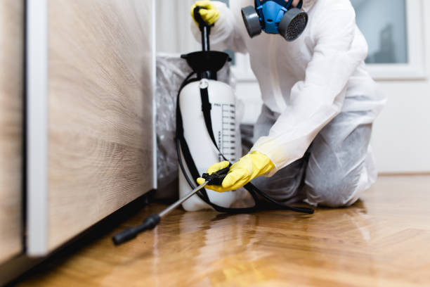 Professional Pest Control in Binghamton, NY