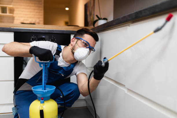 Best Best Pest Control Companies  in Binghamton, NY