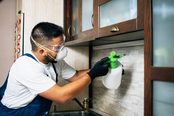 Best Cockroach Control Services  in Binghamton, NY