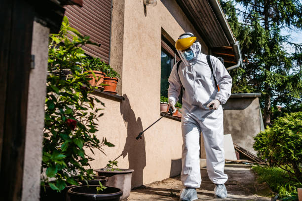 Best Spider Control Near Me  in Binghamton, NY
