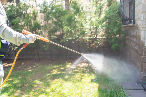 Best Rat Extermination Near Me  in Binghamton, NY