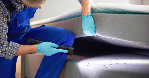 Best Local Pest Control Services  in Binghamton, NY