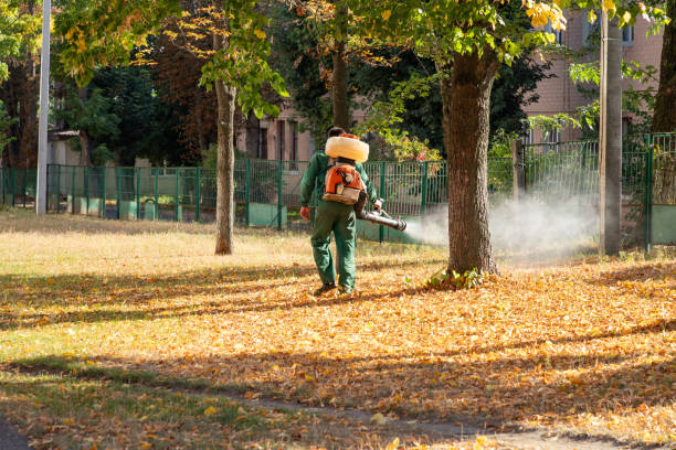 Best Rodent Control Near Me  in Binghamton, NY