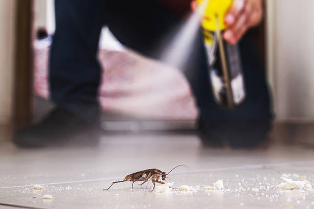 Best Mosquito Control Services  in Binghamton, NY