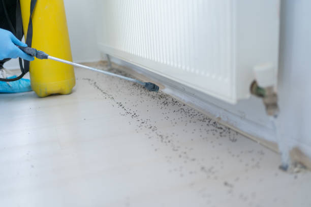Best Mosquito Control Services  in Binghamton, NY